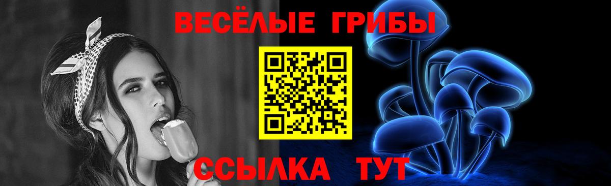 Псилоцибиновые грибы ЛСД Ипатово